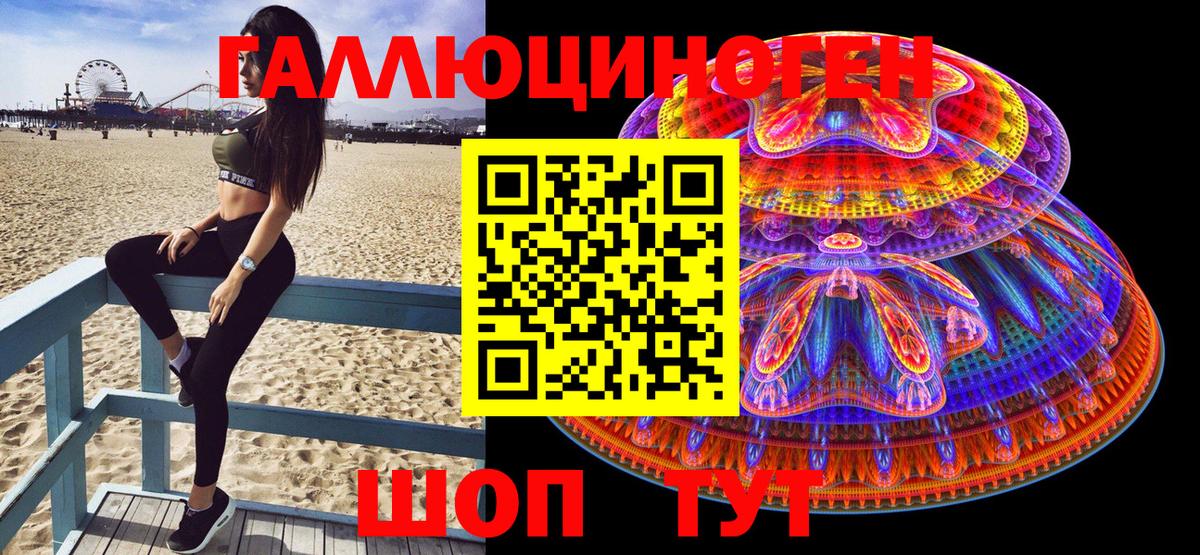 Галлюциногенные грибы Psilocybe Павлово