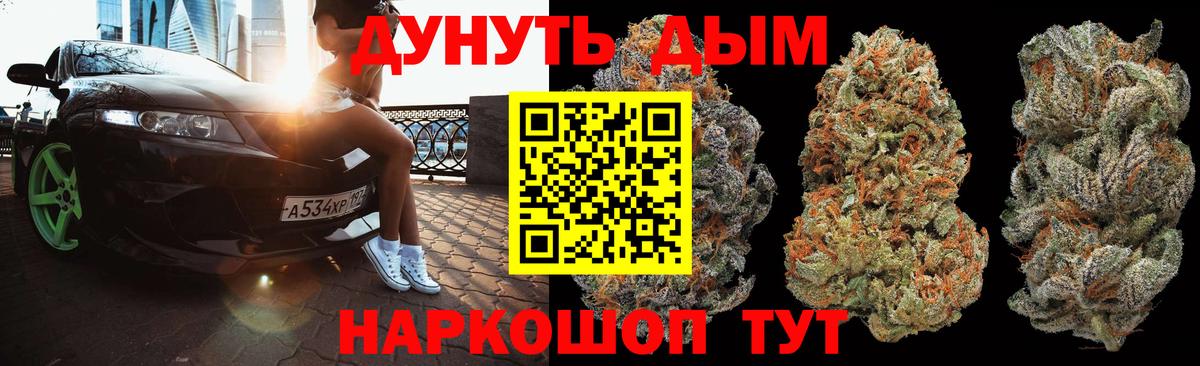 Канабис сатива Павлово